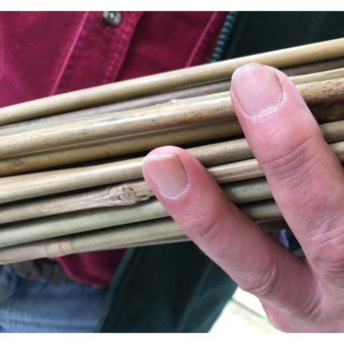 6ft Extra thick Bamboo Canes | ScotPlants Direct